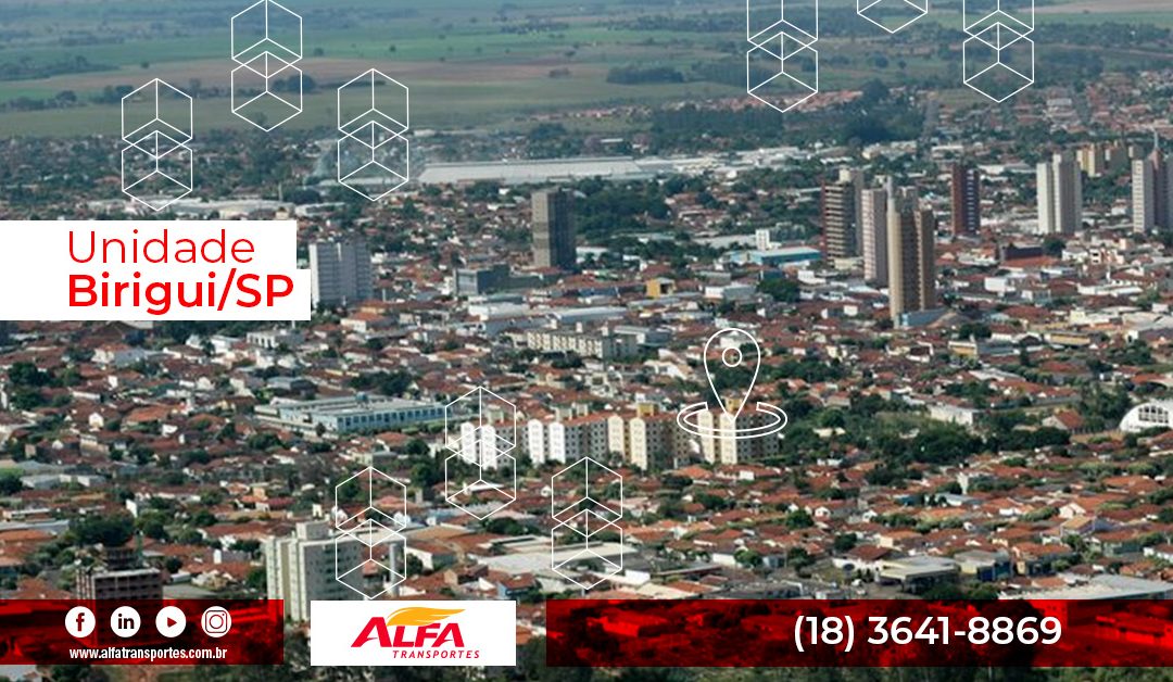 Alfa Transportes Birigui/SP