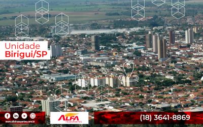 Alfa Transportes Birigui/SP